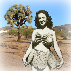 DesertLand Lady